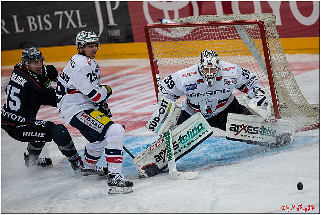 Koelner Haie - Eisbaeren Berlin, 13.11.2016